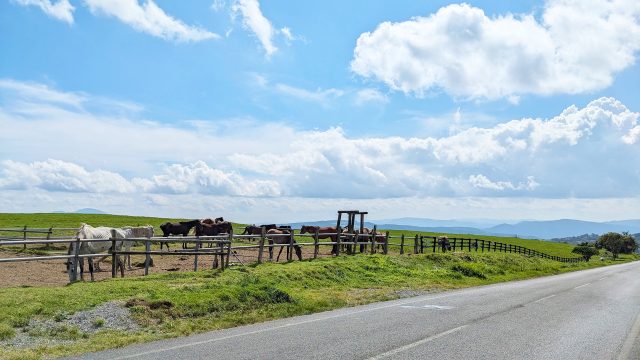 雄大な「荒川高原」で出会う馬産地遠野の原風景